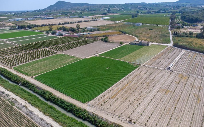 Resale - Finca -
Orihuela - Desamparados-hurchillo-torremendo