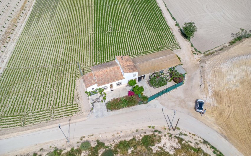Resale - Finca -
Orihuela - Desamparados-hurchillo-torremendo