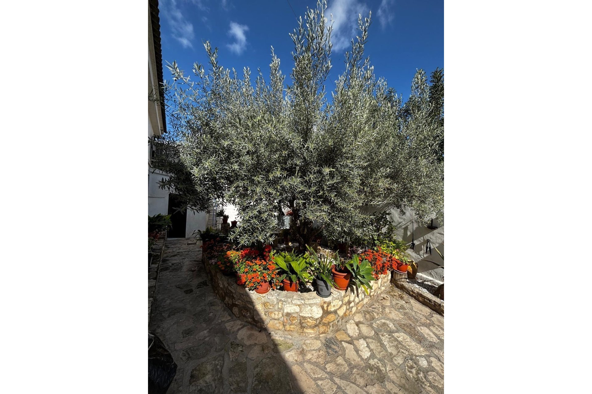 Resale - Town House -
Benejúzar - Comunidad Valenciana