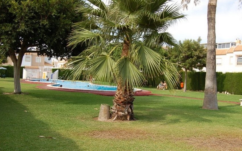 Resale - Town House -
Torrevieja - Costa Blanca