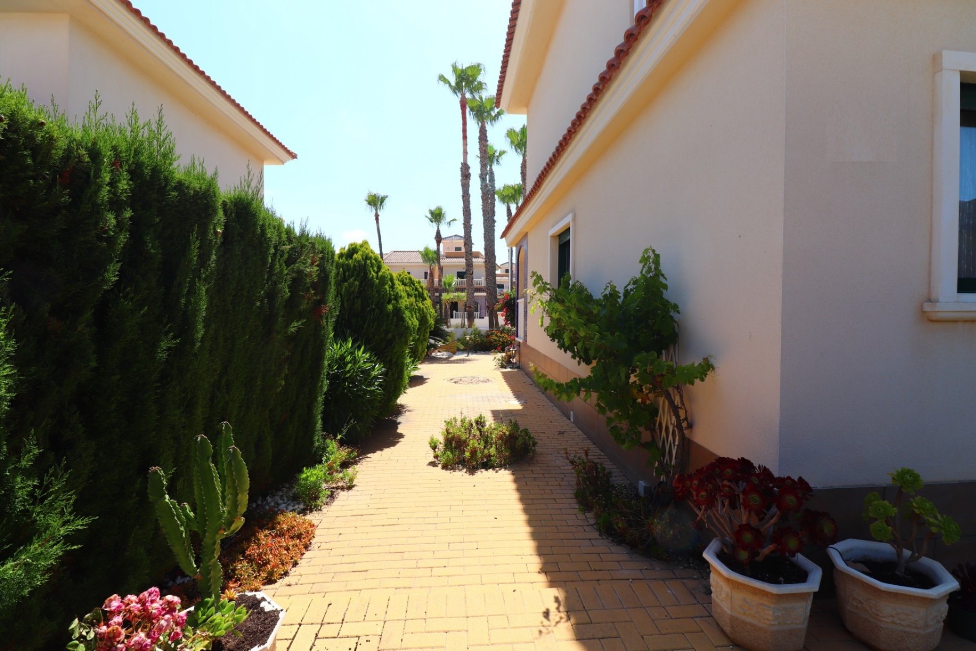 Resale - Townhouse -
Ciudad Quesada - Doña Pepa