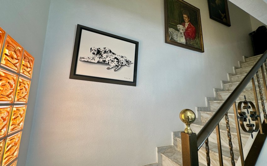 Resale - Townhouse -
Ciudad Quesada - Doña Pepa