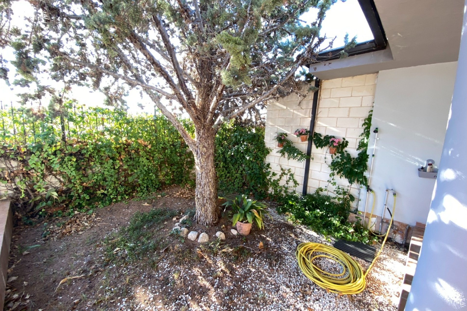 Resale - Townhouse -
Sax