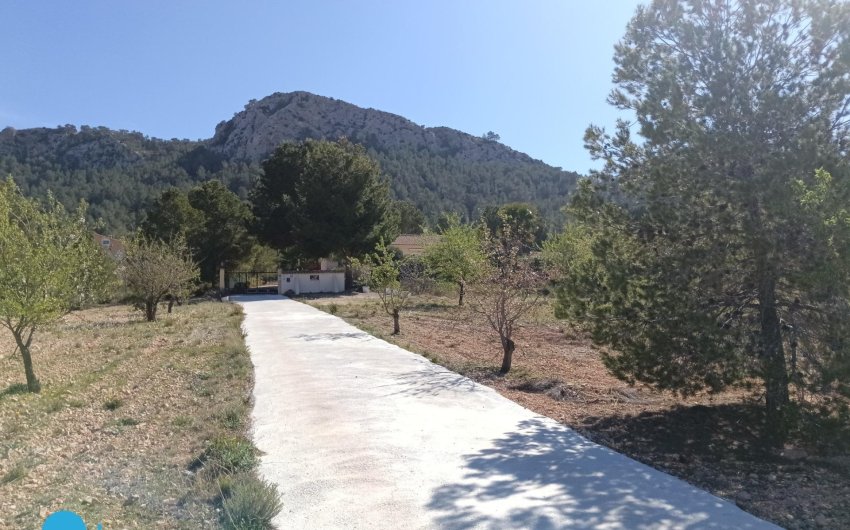 Resale - Villa -
Abanilla