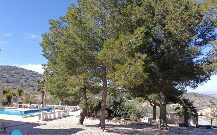 Resale - Villa -
Abanilla