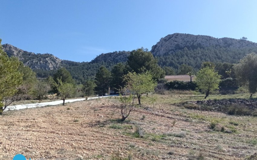 Resale - Villa -
Abanilla