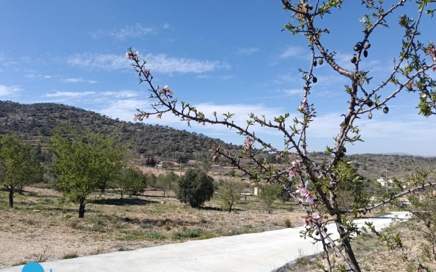 Resale - Villa -
Abanilla