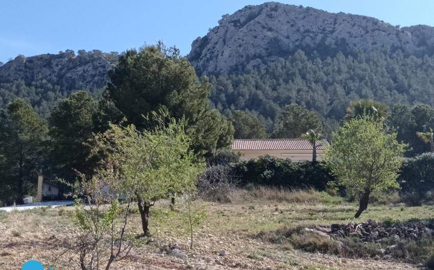 Resale - Villa -
Abanilla