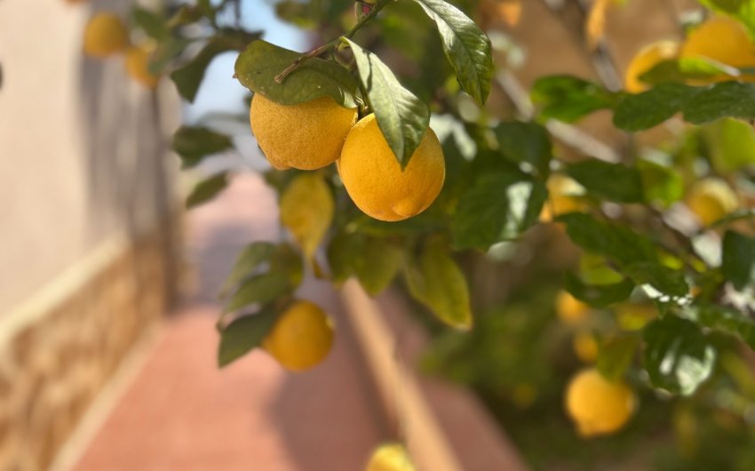 Resale - Villa -
Algorfa - Inland