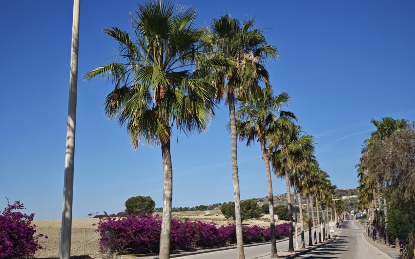 Resale - Villa -
Algorfa - Inland