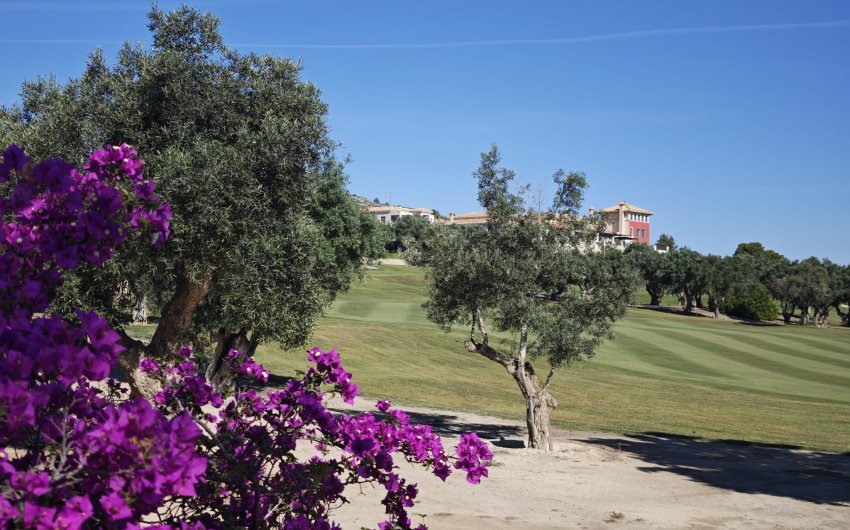 Resale - Villa -
Algorfa - Inland