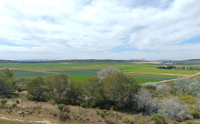 Resale - Villa -
Algorfa - Inland