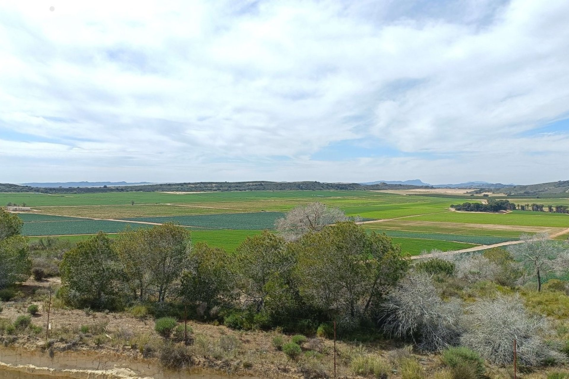 Resale - Villa -
Algorfa - Inland
