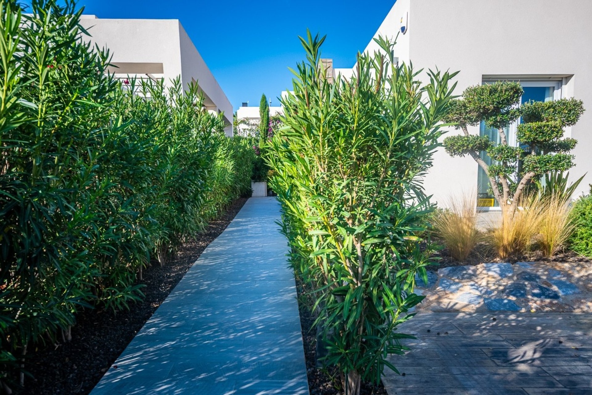 Resale - Villa -
Algorfa - LA FINCA GOLF / ALGORFA