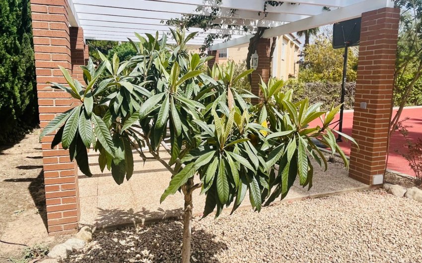 Resale - Villa -
Benidorm