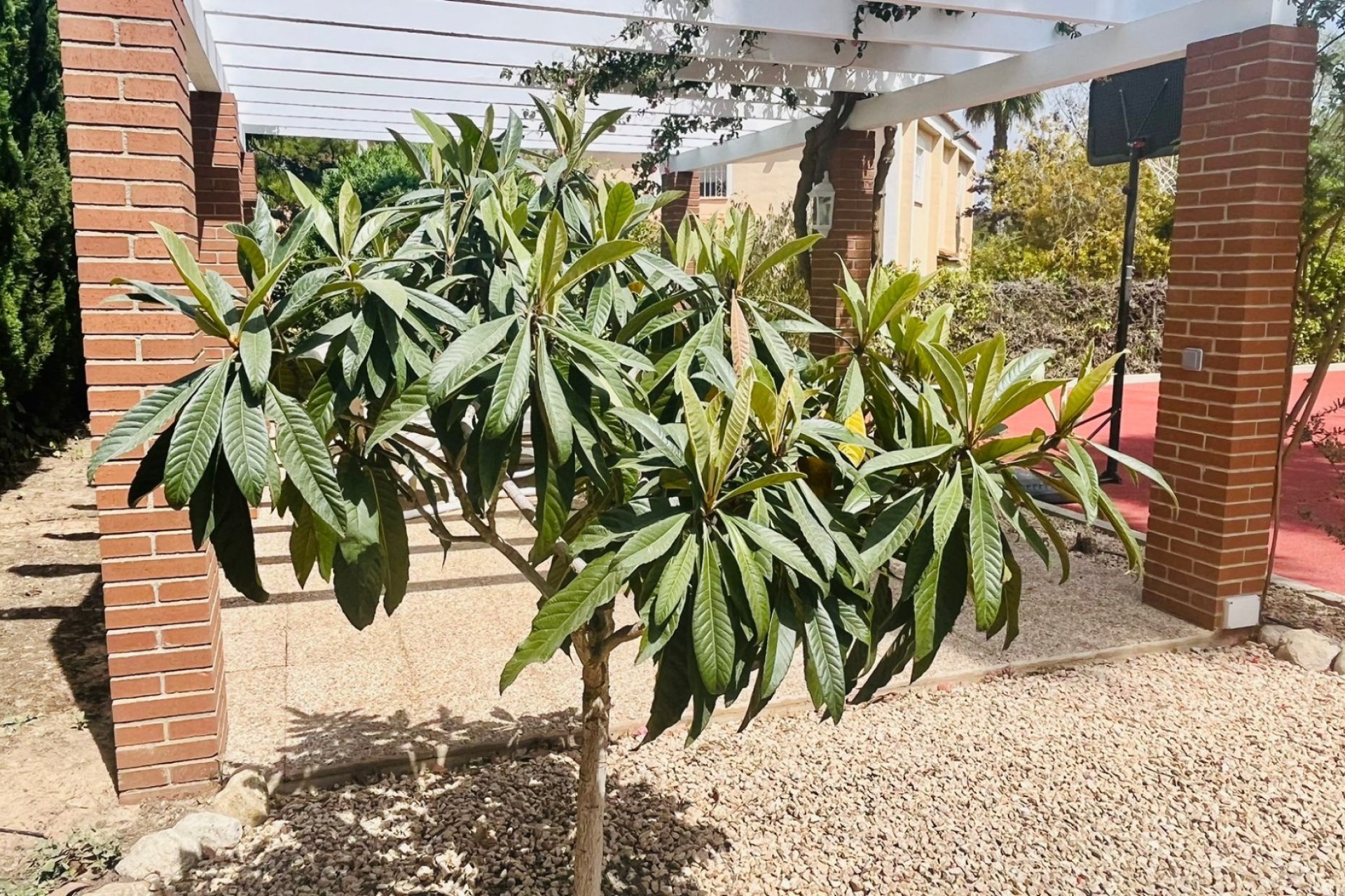 Resale - Villa -
Benidorm