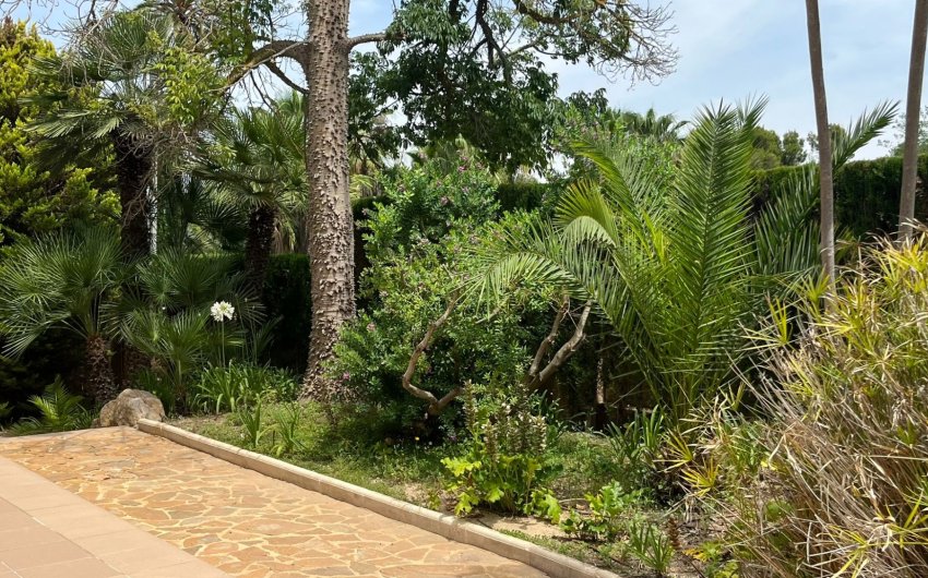 Resale - Villa -
Benidorm