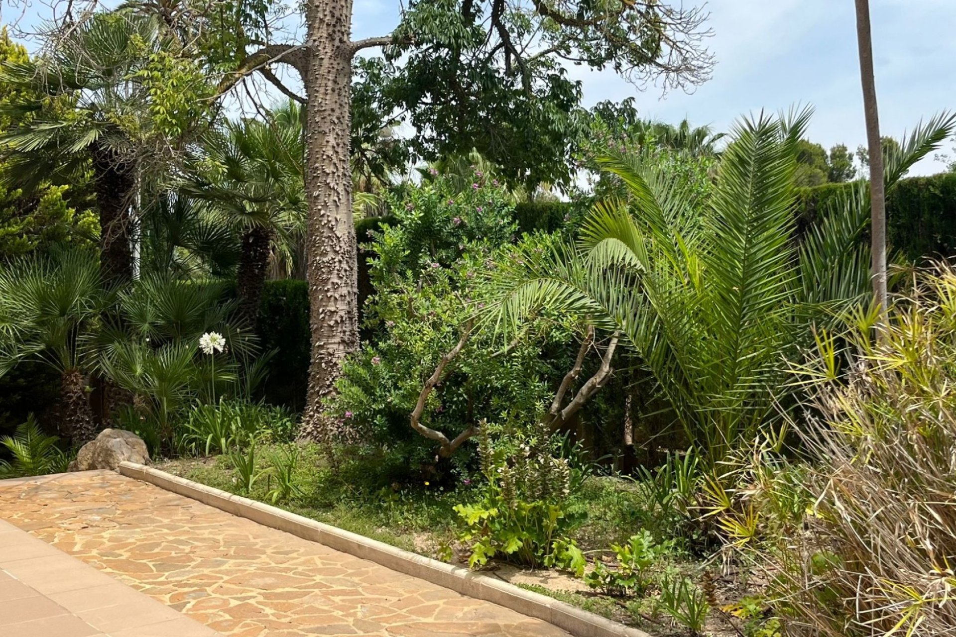 Resale - Villa -
Benidorm