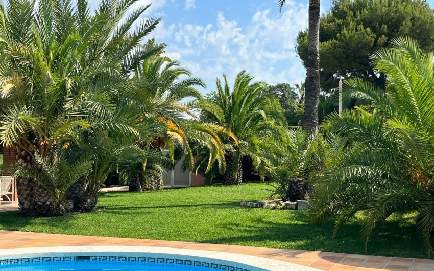 Resale - Villa -
Benidorm