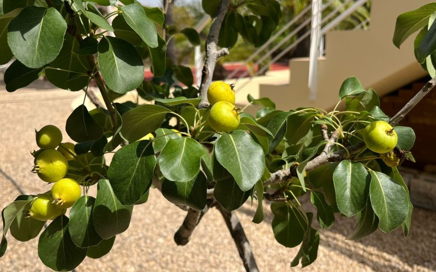 Resale - Villa -
Benidorm