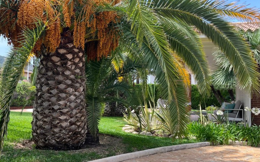 Resale - Villa -
Benidorm