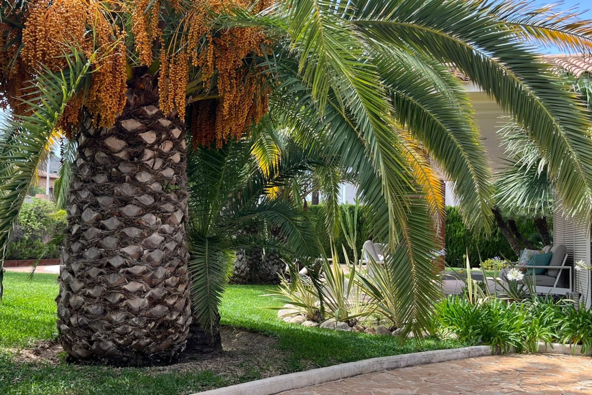 Resale - Villa -
Benidorm