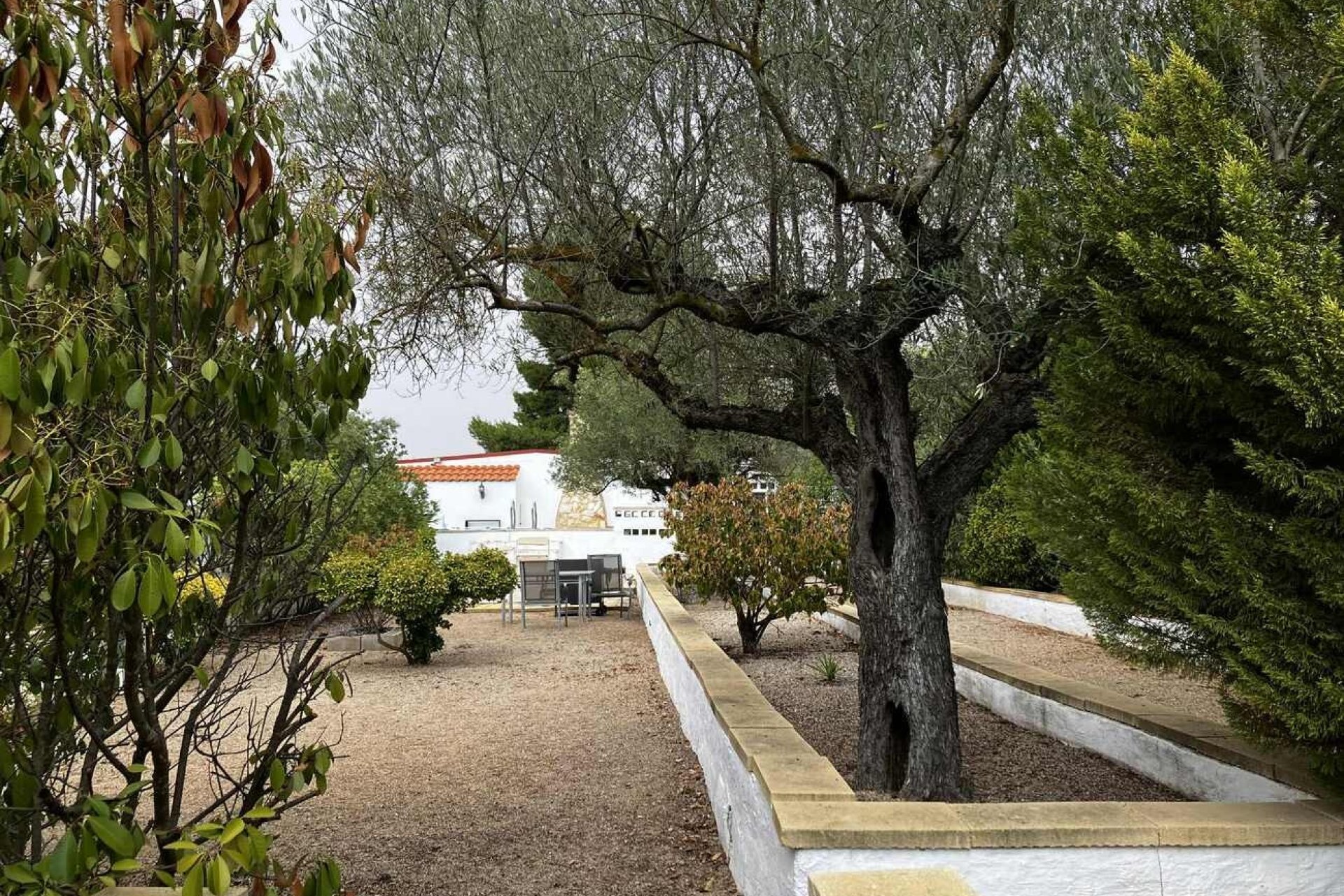 Resale - Villa -
Biar - Costa Blanca