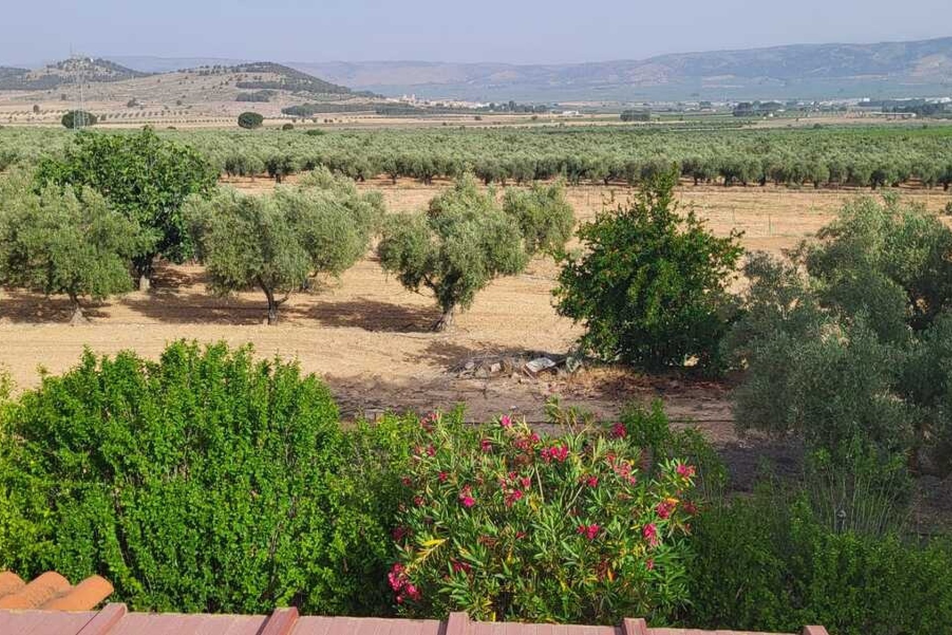 Resale - Villa -
Biar - Costa Blanca