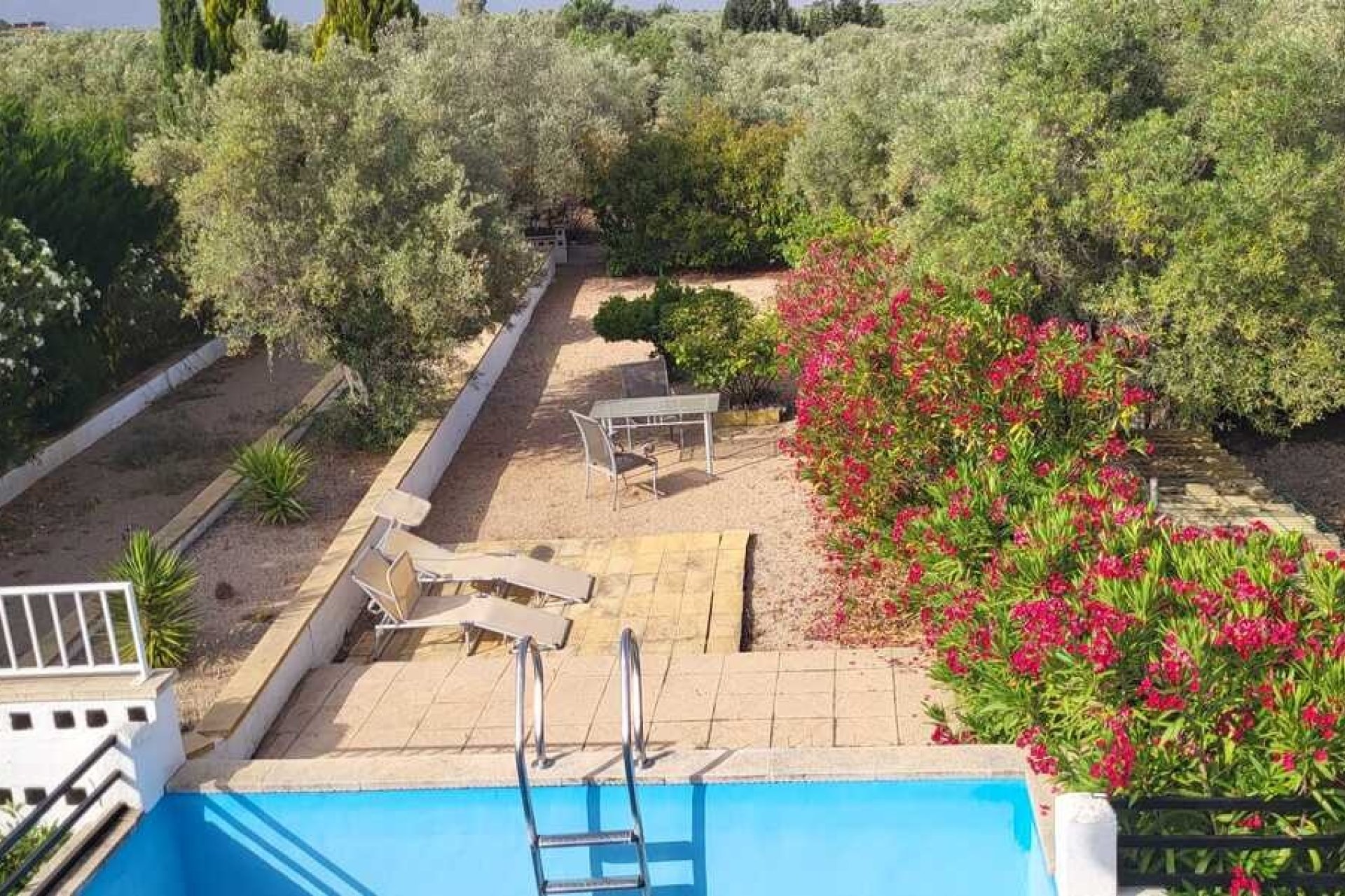 Resale - Villa -
Biar - Costa Blanca