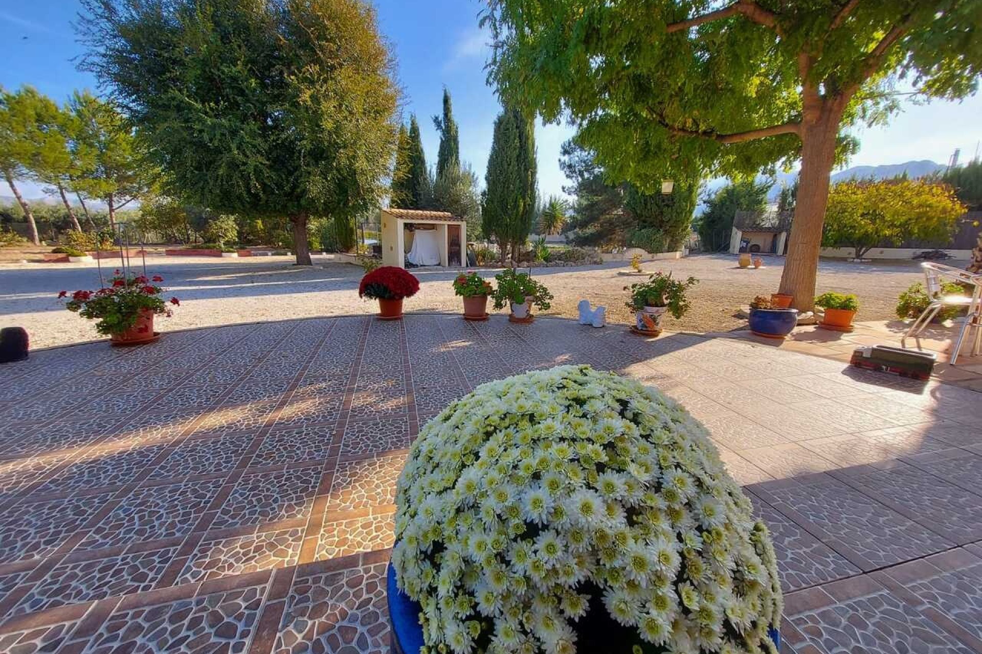 Resale - Villa -
Calasparra - Inland