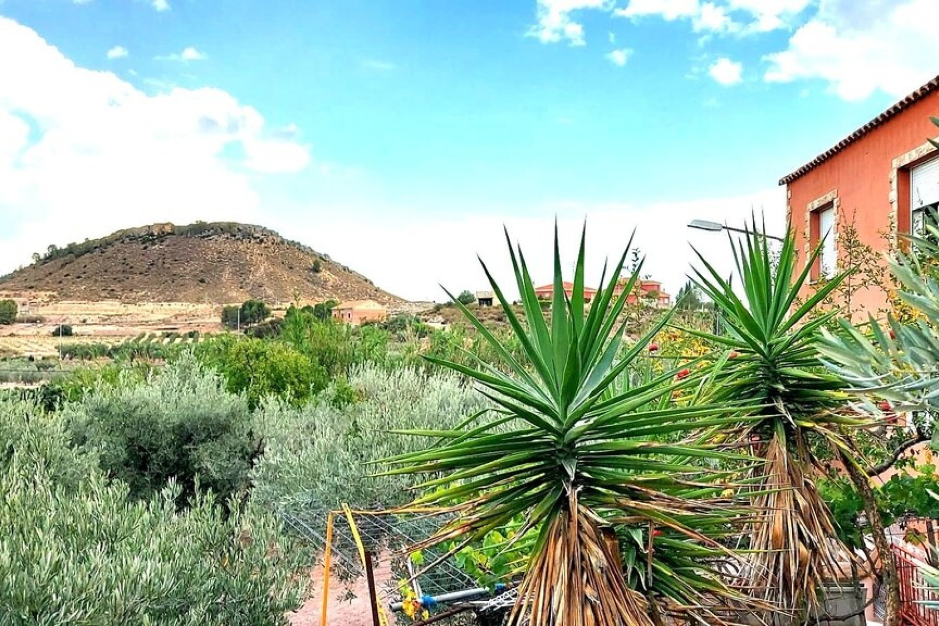 Resale - Villa -
Calasparra - Inland