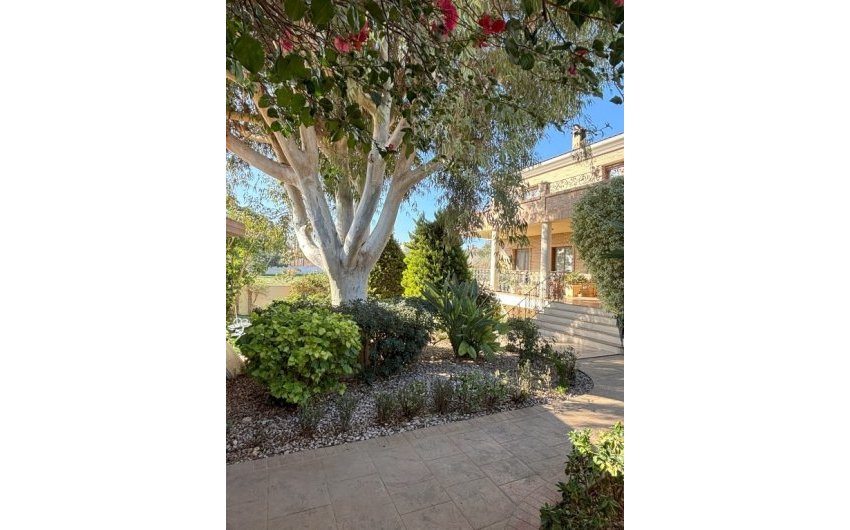 Resale - Villa -
Ciudad Quesada - Costa Blanca