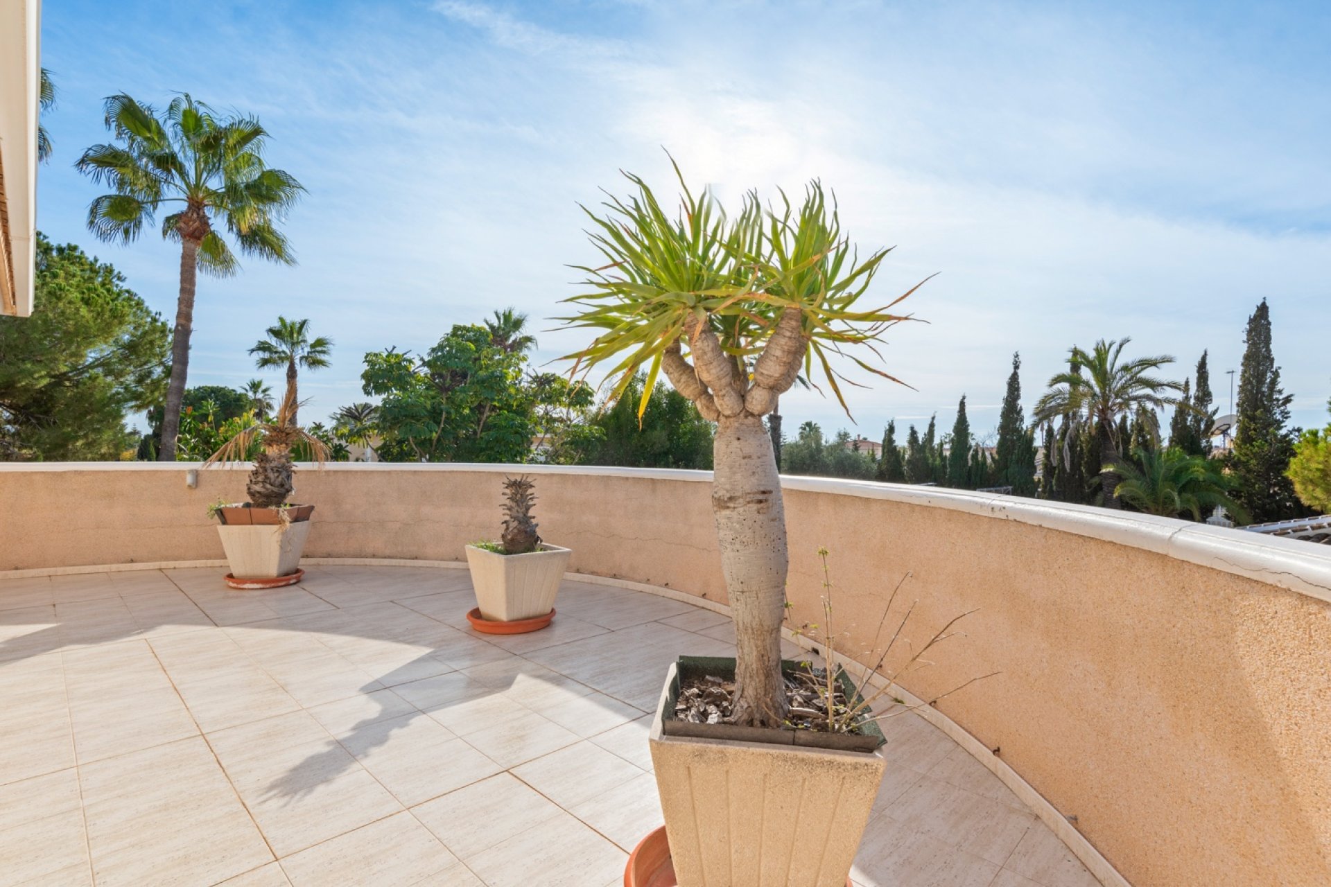 Resale - Villa -
Ciudad Quesada - Doña Pepa