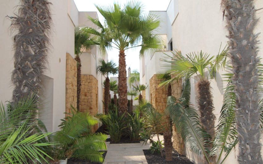 Resale - Villa -
Ciudad Quesada - Doña Pepa