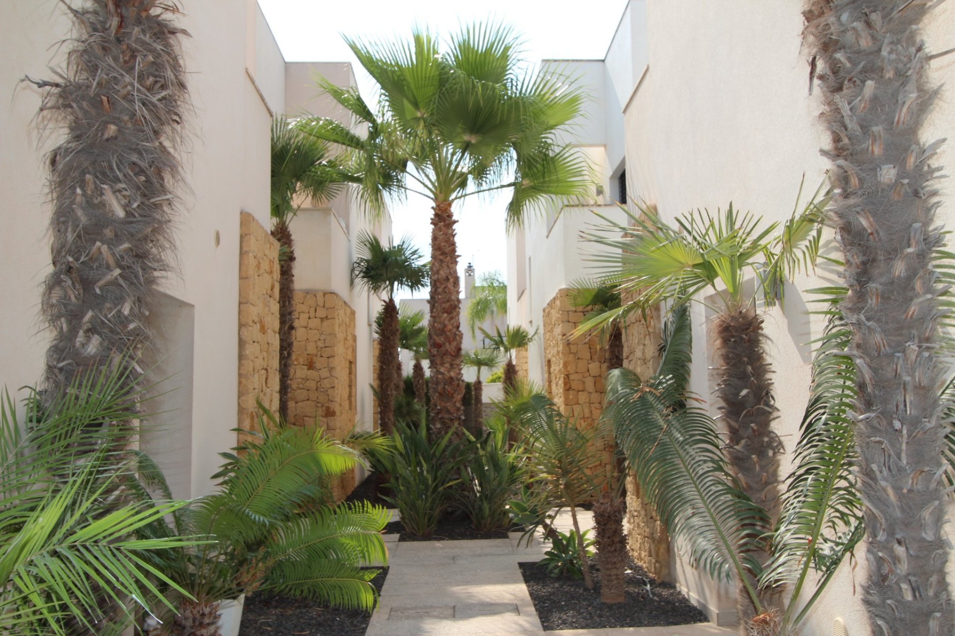 Resale - Villa -
Ciudad Quesada - Doña Pepa