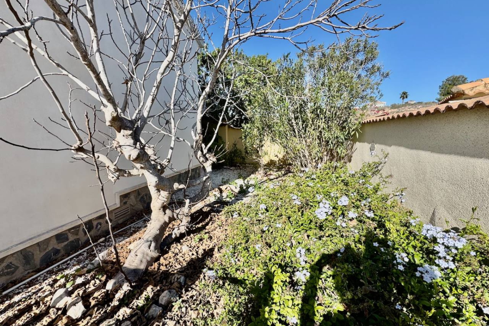 Resale - Villa -
Ciudad Quesada - Lo Pepin