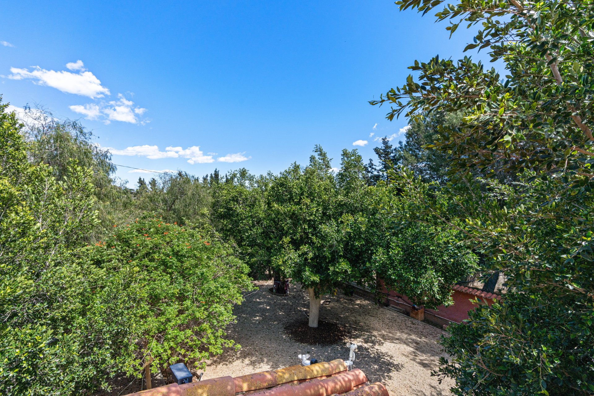 Resale - Villa -
El Altet - San Francisco de Asis