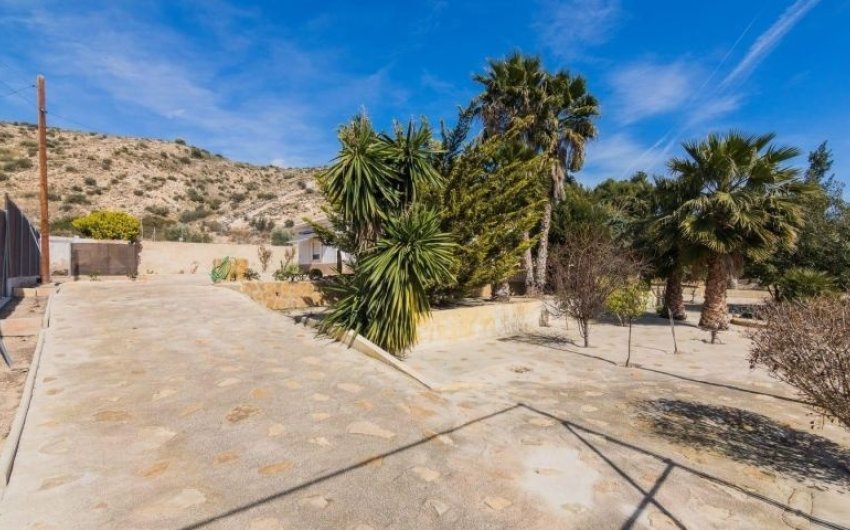 Resale - Villa -
Elche - Costa Blanca