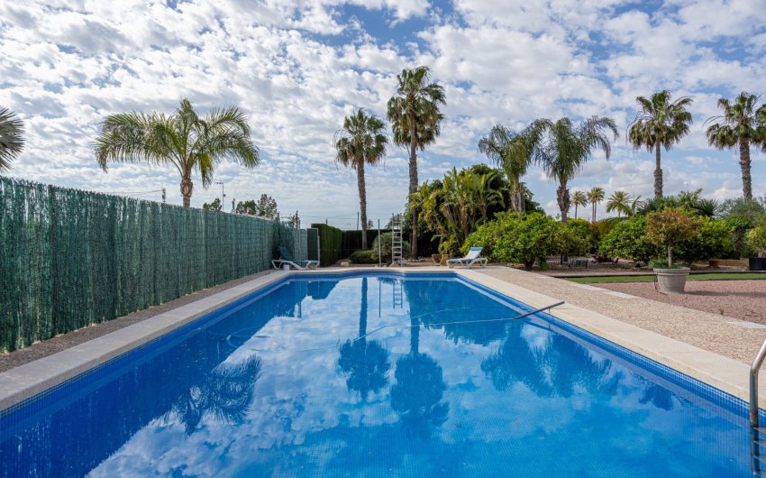 Resale - Villa -
Elche - Costa Blanca