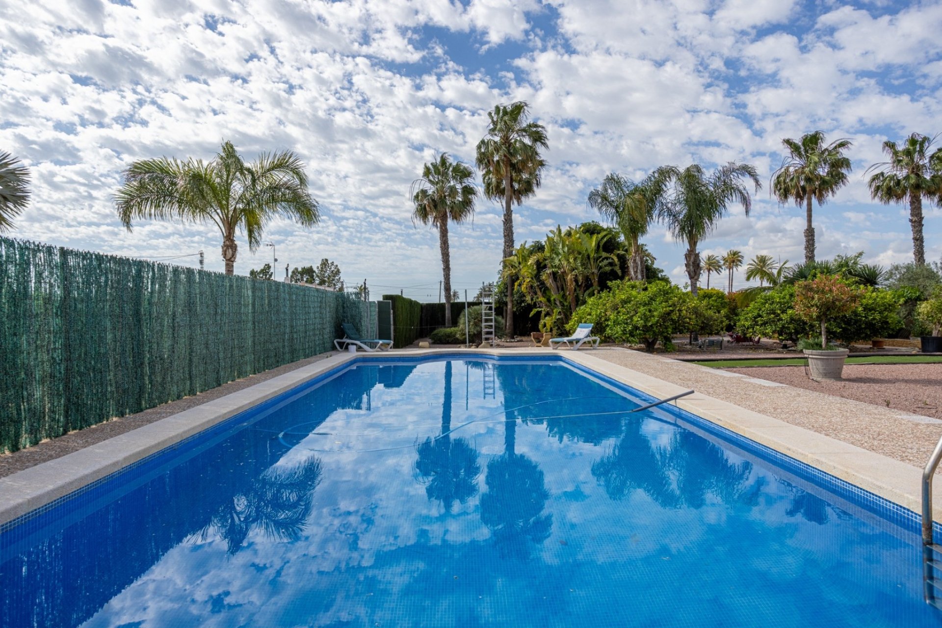 Resale - Villa -
Elche - Costa Blanca