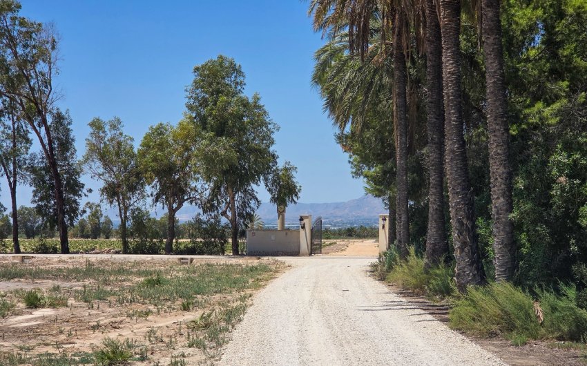 Resale - Villa -
Elche - Costa Blanca