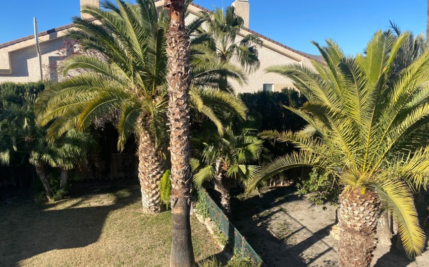 Resale - Villa -
Elda