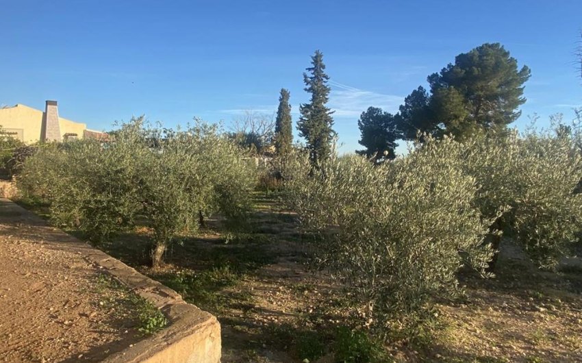 Resale - Villa -
Gea Truyols - Gea y Trujols