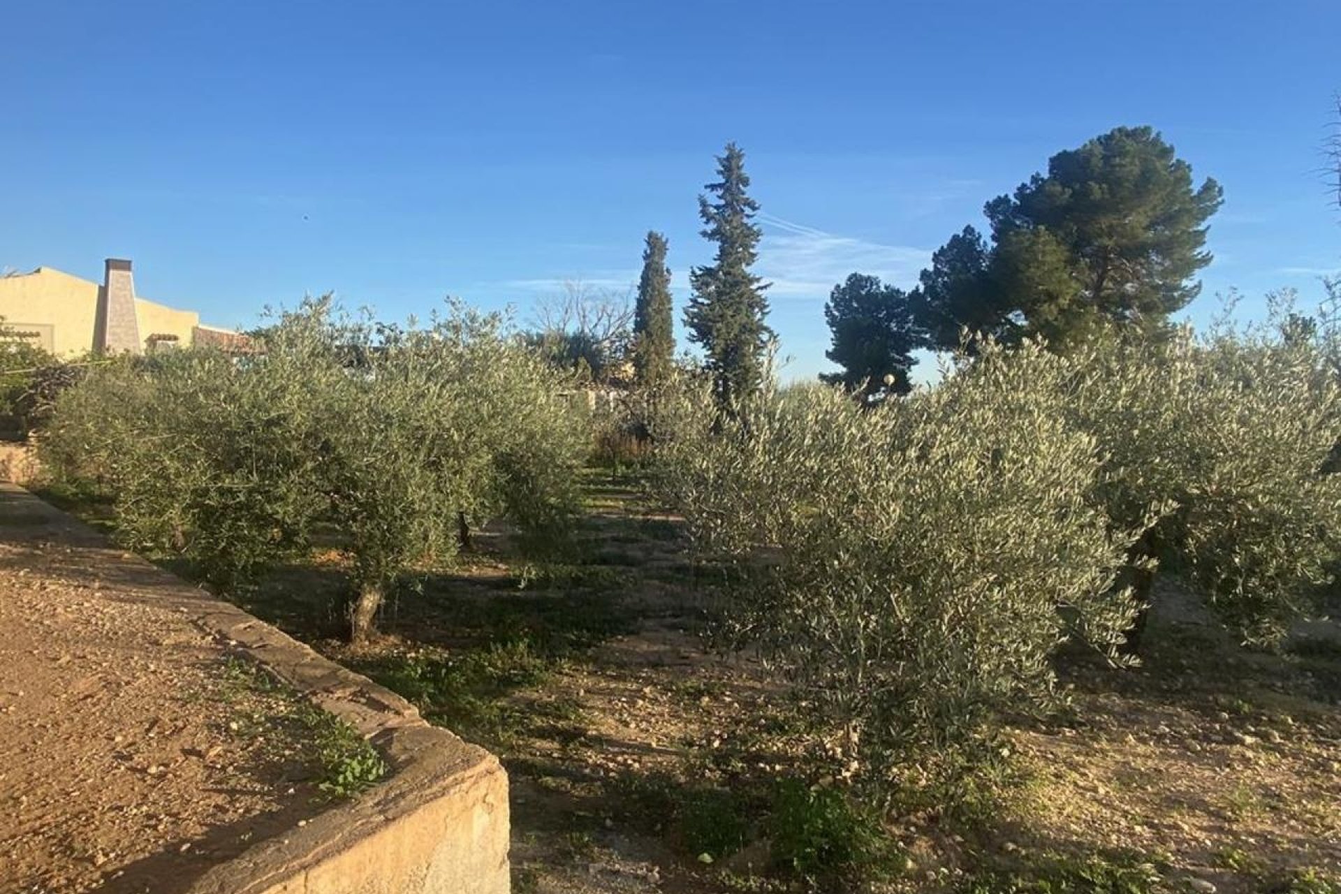 Resale - Villa -
Gea Truyols - Gea y Trujols