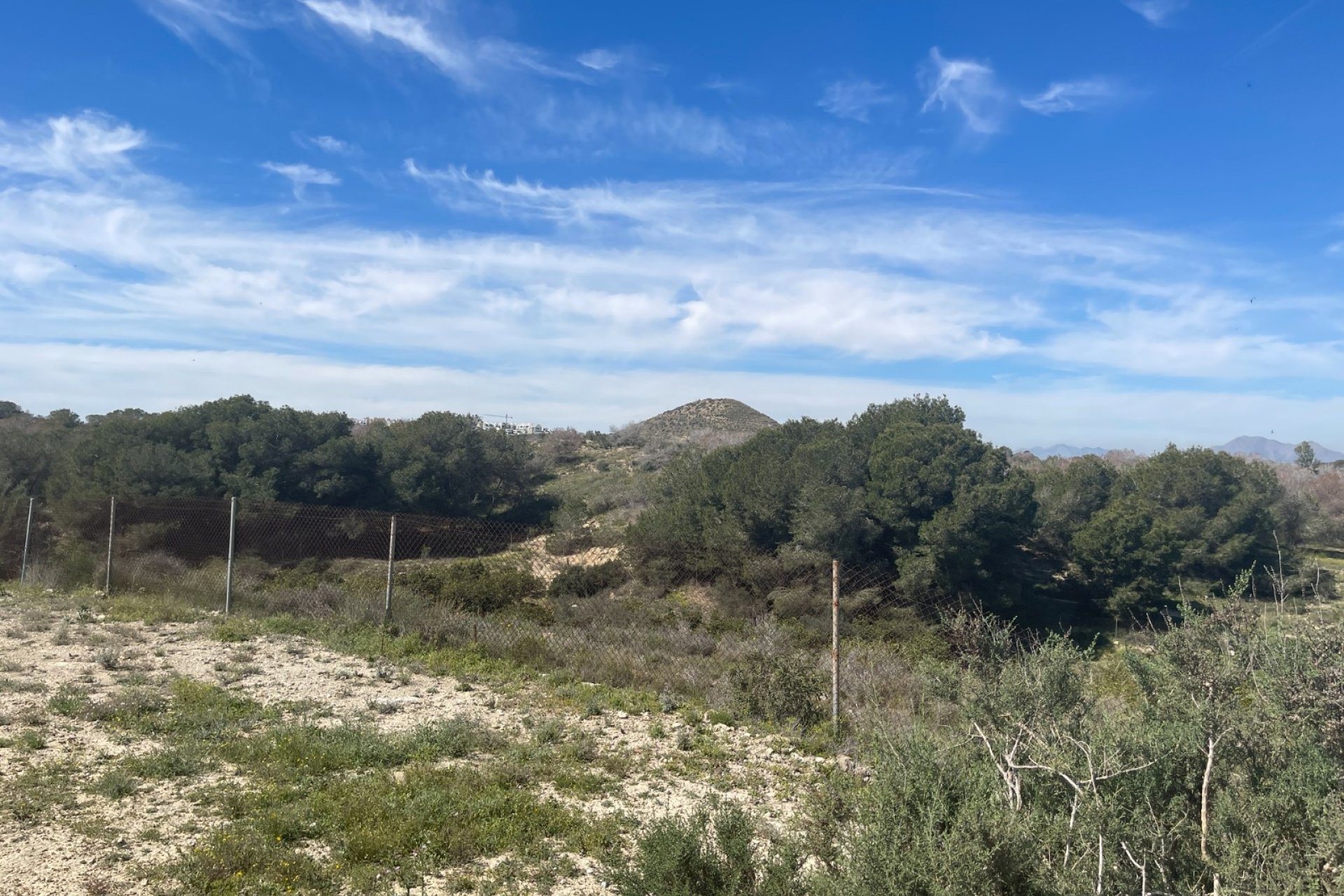 Resale - Villa -
Guardamar del Segura - Costa Blanca