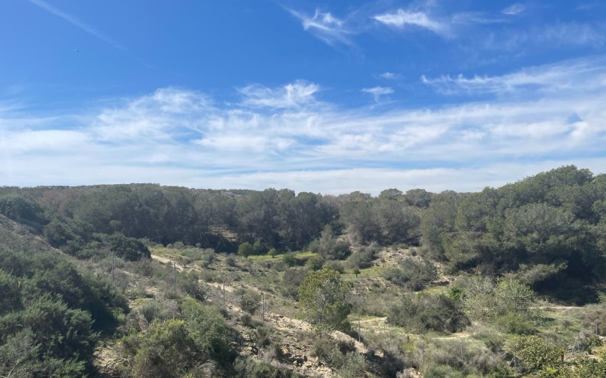 Resale - Villa -
Guardamar del Segura - Costa Blanca