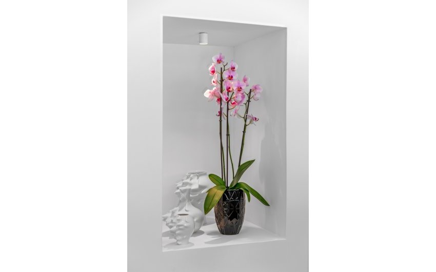 Resale - Villa -
Guardamar del Segura - Costa Blanca