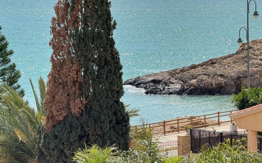 Resale - Villa -
Mazarron - Bolnuevo