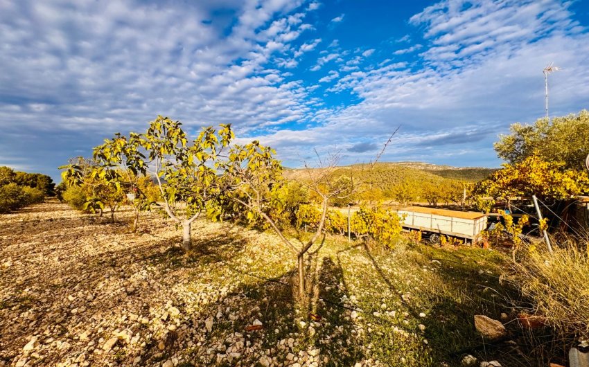 Resale - Villa -
Monóvar - Monovar