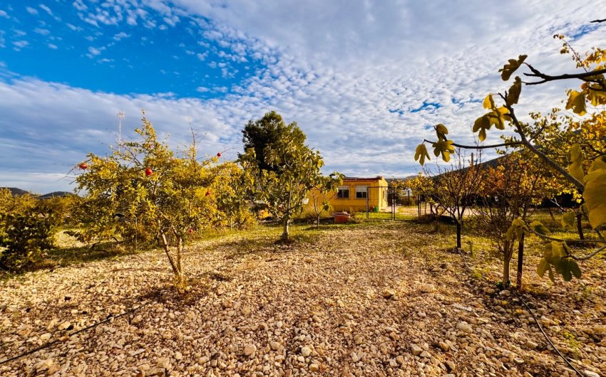 Resale - Villa -
Monóvar - Monovar